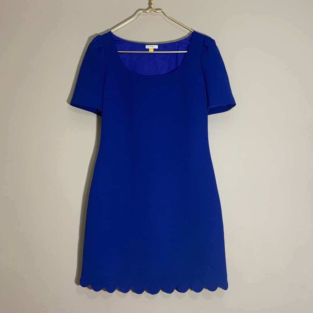 LeifsDottir dress sz4